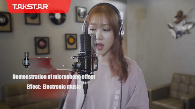 Amazon.com: TAKSTAR XLR Condenser Microphone with 34mm Gold-Plated